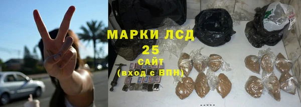 индика Баксан
