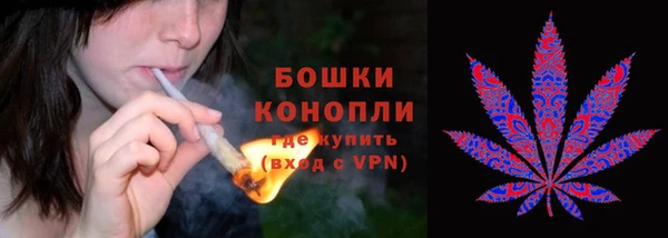 дурь Белокуриха