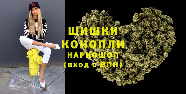 индика Баксан