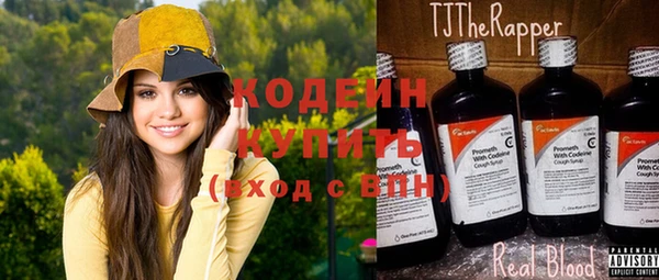 индика Балабаново
