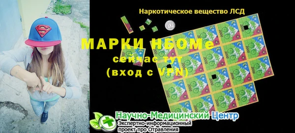 индика Баксан