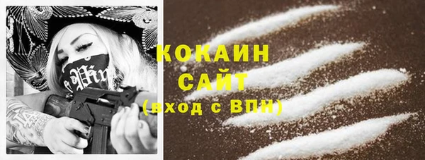 индика Балабаново