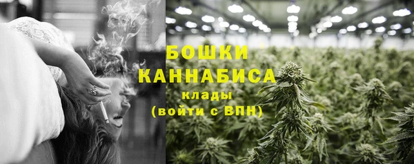 индика Балабаново