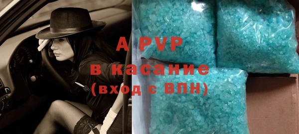 стаф Балахна