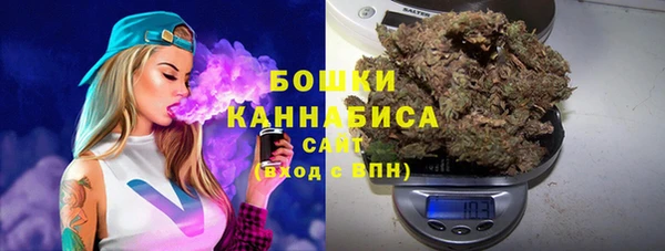 стаф Балахна